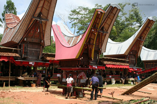 Het beste van Sulawesi